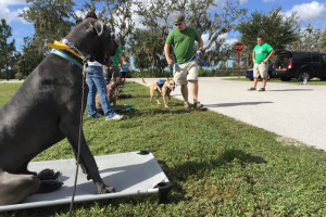 dog trainers Sarasota