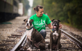 dog training Sarasota, FL