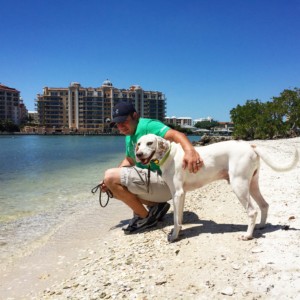 dog trainers Bradenton FL