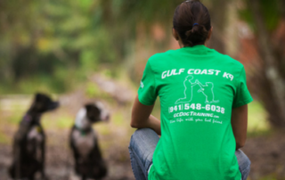 dog trainer sarasota