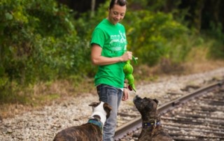 dog trainer sarasota