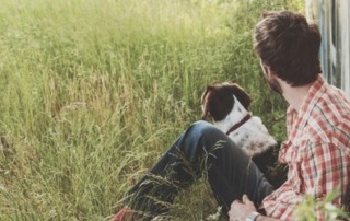 how to get a dog to like their crate