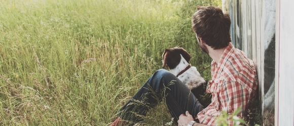 how to get a dog to like their crate