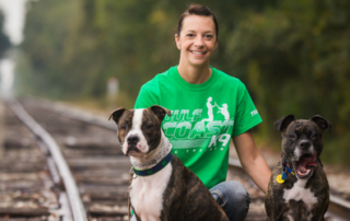 dog trainer sarasota