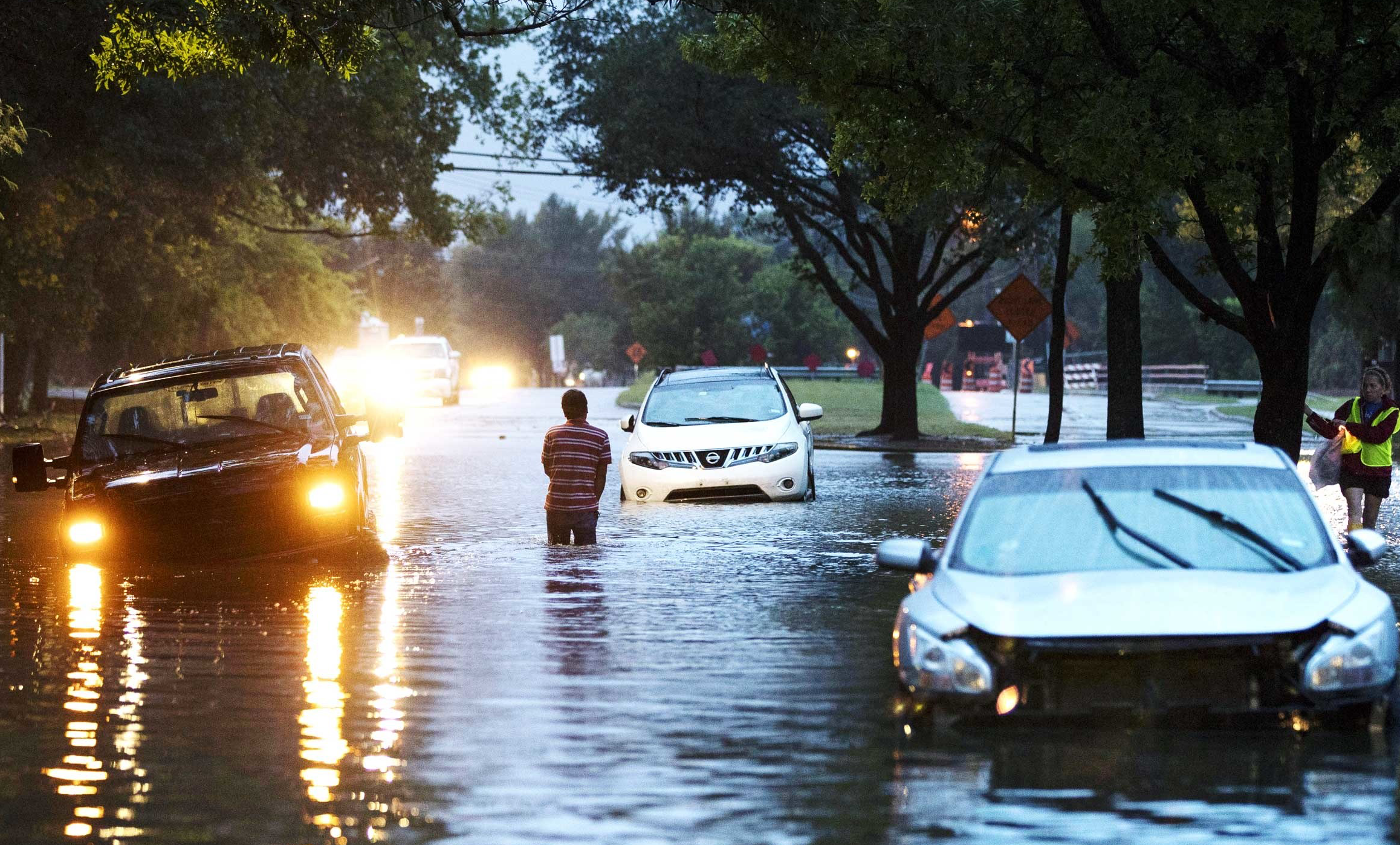 dog safety during floods