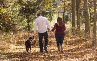 dog training SRQ