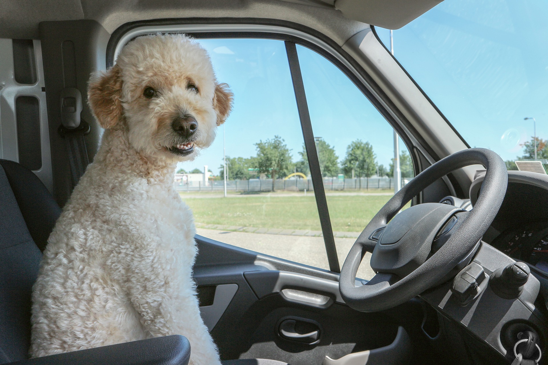 Bradenton dog trainers