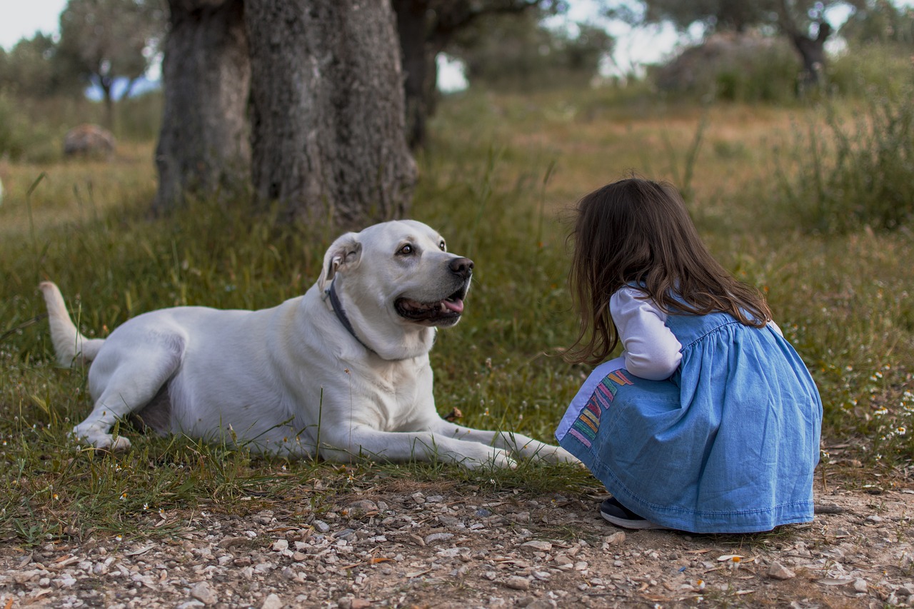 how your dog communicates