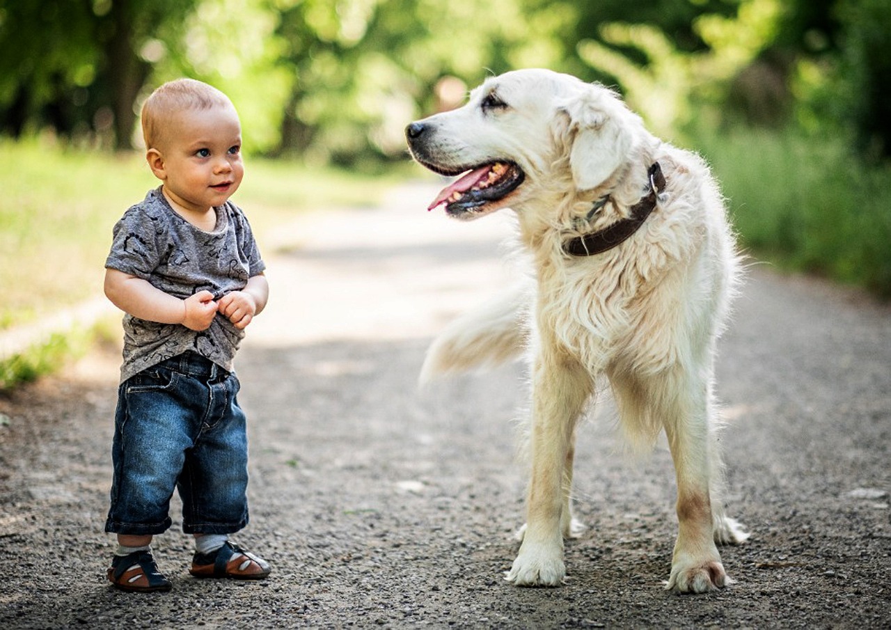 best Bradenton dog trainer