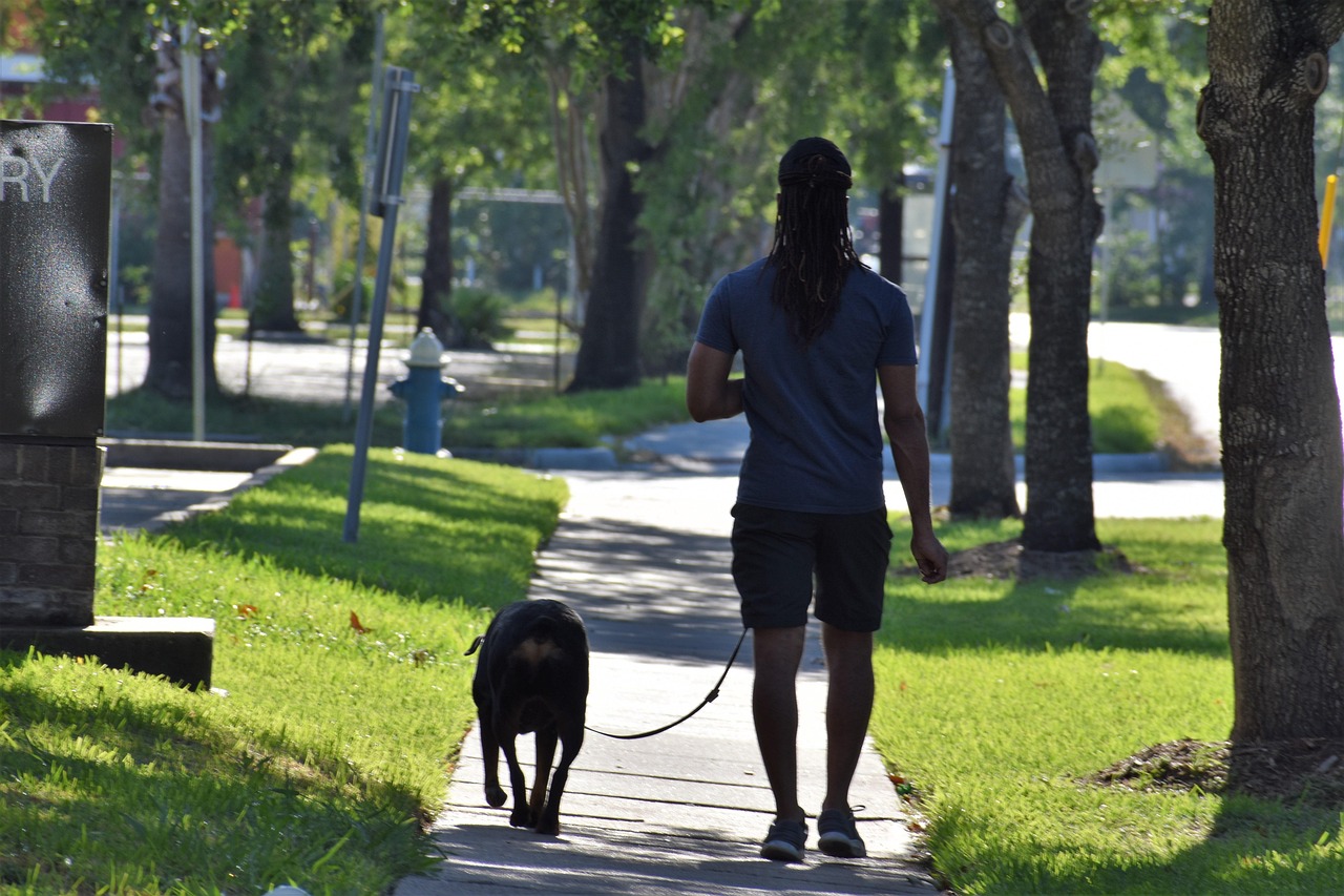 loose leash walking behaviors