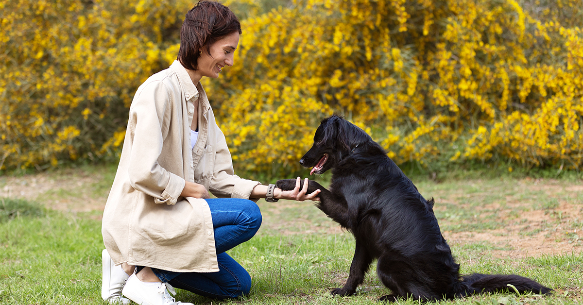 top local dog trainer