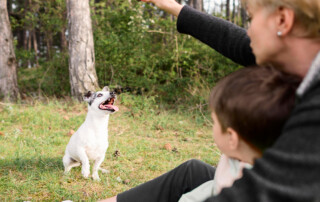 top local dog trainer