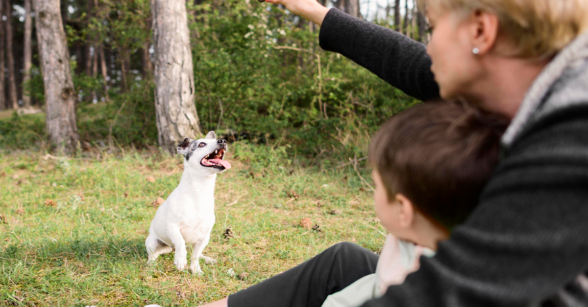 top local dog trainer