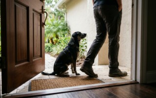 How Anticipation Builds Patterns